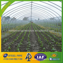 Galvanized Steel Pipe for Green House